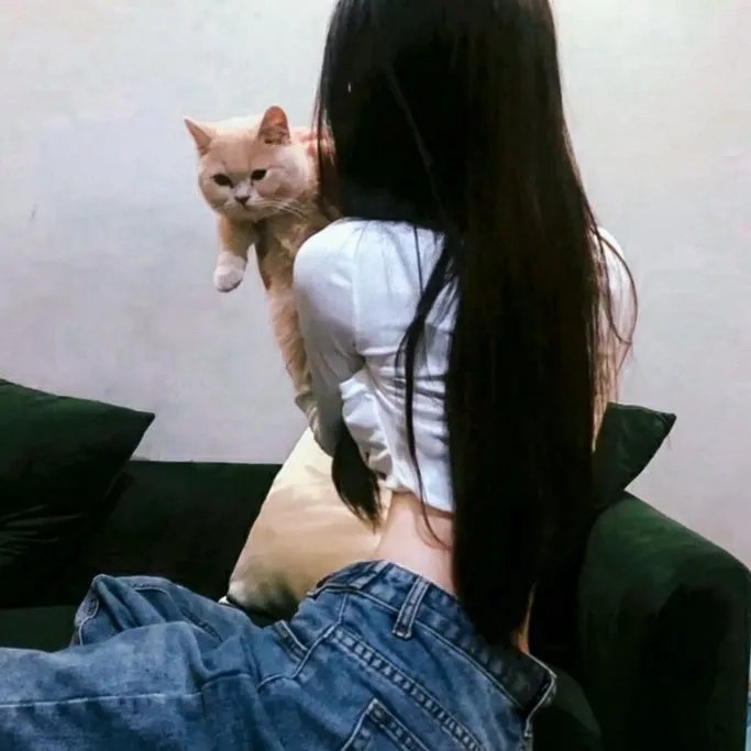 竞选风云